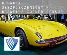 Doradca ubezpieczeniowy w  Boswell's Corner