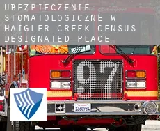 Ubezpieczenie stomatologiczne w  Haigler Creek