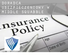 Doradca ubezpieczeniowy w  Middle Squabble