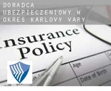 Doradca ubezpieczeniowy w Okres Karlovy Vary