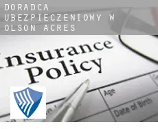 Doradca ubezpieczeniowy w  Olson Acres