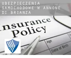 Ubezpieczenia samochodowe w Annone di Brianza