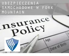 Ubezpieczenia samochodowe w Fork Mountain