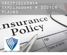 Ubezpieczenia samochodowe w  Scotch Plains