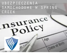 Ubezpieczenia samochodowe w  Spring Creek