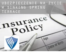 Ubezpieczenie na życie w  Sinking Spring Terrace