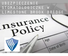 Ubezpieczenie stomatologiczne w  Limestone Brook Bridge