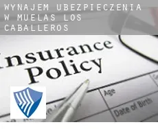 Wynajem ubezpieczenia w  Muelas de los Caballeros