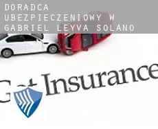 Doradca ubezpieczeniowy w Gabriel Leyva Solano