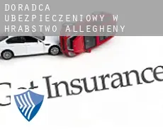 Doradca ubezpieczeniowy w  Hrabstwo Allegheny