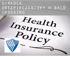Doradca ubezpieczeniowy w  Bald Crossing