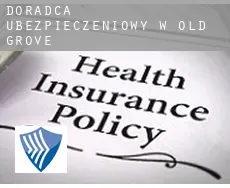 Doradca ubezpieczeniowy w  Old Grove