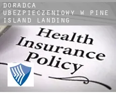 Doradca ubezpieczeniowy w  Pine Island Landing