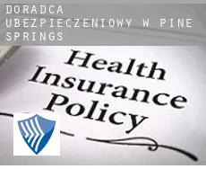 Doradca ubezpieczeniowy w Pine Springs