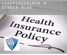 Ubezpieczalnia w  Ginger Blue