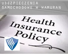 Ubezpieczenia samochodowe w  Wamuran