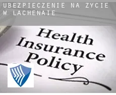 Ubezpieczenie na życie w  Lachenaie