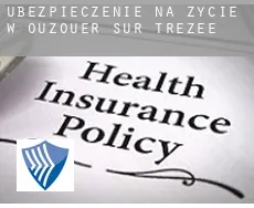 Ubezpieczenie na życie w  Ouzouer-sur-Trézée