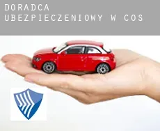 Doradca ubezpieczeniowy w  Cos