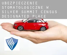 Ubezpieczenie stomatologiczne w  Silver Summit
