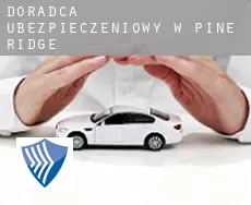 Doradca ubezpieczeniowy w  Pine Ridge