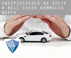 Ubezpieczenie na życie w  Bell Creek Hammocks North