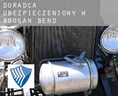Doradca ubezpieczeniowy w  Boggan Bend