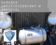 Doradca ubezpieczeniowy w  Caudeval