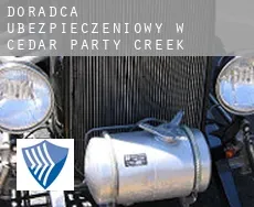 Doradca ubezpieczeniowy w  Cedar Party Creek