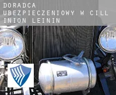 Doradca ubezpieczeniowy w  Cill Iníon Léinín