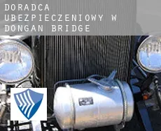 Doradca ubezpieczeniowy w  Dongan Bridge