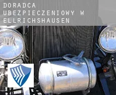 Doradca ubezpieczeniowy w  Ellrichshausen