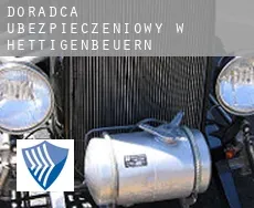 Doradca ubezpieczeniowy w  Hettigenbeuern