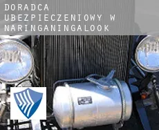 Doradca ubezpieczeniowy w  Naringaningalook