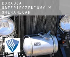 Doradca ubezpieczeniowy w  Shenandoah