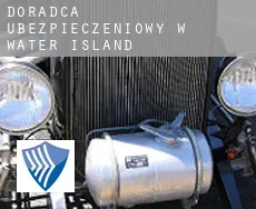 Doradca ubezpieczeniowy w  Water Island