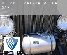 Ubezpieczalnia w  Flat Gap