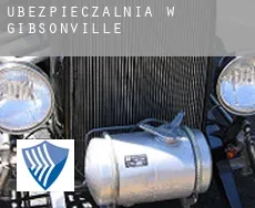 Ubezpieczalnia w  Gibsonville