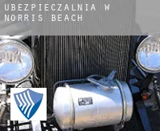 Ubezpieczalnia w  Norris Beach