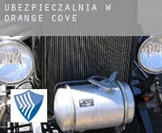 Ubezpieczalnia w  Orange Cove