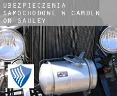 Ubezpieczenia samochodowe w  Camden on Gauley
