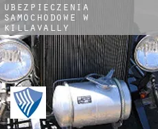 Ubezpieczenia samochodowe w Killavally