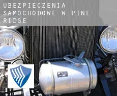 Ubezpieczenia samochodowe w  Pine Ridge