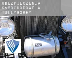 Ubezpieczenia samochodowe w  Tullygorey