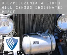 Ubezpieczenia w  Birch Hill