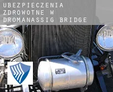 Ubezpieczenia zdrowotne w  Dromanassig Bridge