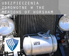 Ubezpieczenia zdrowotne w  The Meadows of Horsham Towne
