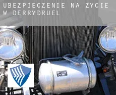 Ubezpieczenie na życie w Derrydruel