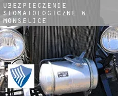 Ubezpieczenie stomatologiczne w  Monselice