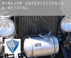 Wynajem ubezpieczenia w  Netstal